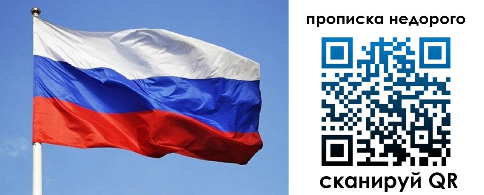 прописка для школы в Ельне