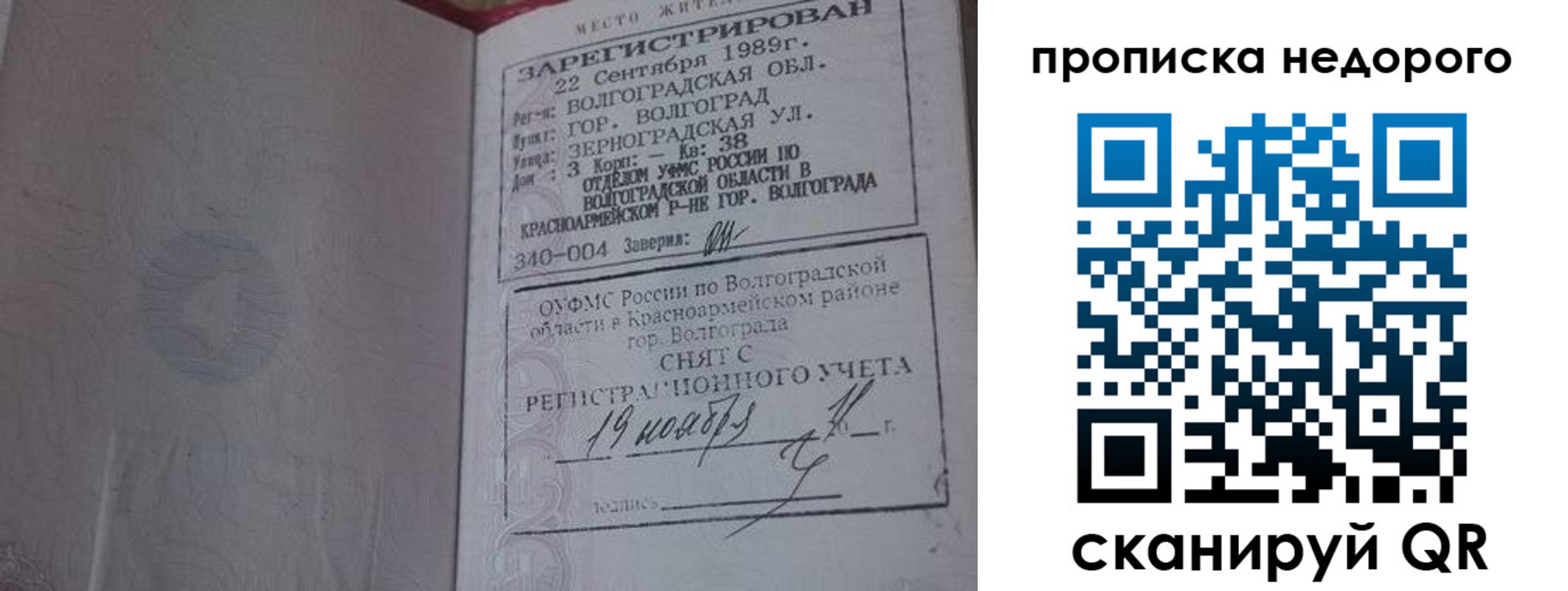 прописка гарантия в Ельне